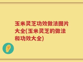 玉米灵芝功效做法图片大全(玉米灵芝的做法和功效大全)