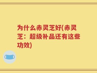 为什么赤灵芝好(赤灵芝：超级补品还有这些功效)
