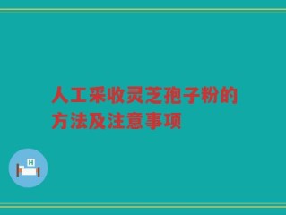 人工采收灵芝孢子粉的方法及注意事项