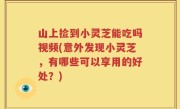 山上捡到小灵芝能吃吗视频(意外发现小灵芝，有哪些可以享用的好处？)