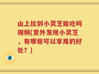 山上捡到小灵芝能吃吗视频(意外发现小灵芝，有哪些可以享用的好处？)