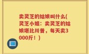 卖灵芝的姑娘叫什么(灵芝小姐：卖灵芝的姑娘堪比川普，每天卖3000斤！)