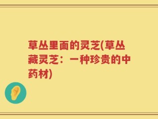 草丛里面的灵芝(草丛藏灵芝：一种珍贵的中药材)