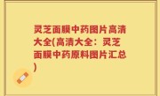 灵芝面膜中药图片高清大全(高清大全：灵芝面膜中药原料图片汇总)