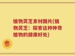 植物灵芝素材图片(植物灵芝：探索这种神奇植物的健康好处)