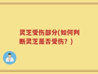 灵芝受伤部分(如何判断灵芝是否受伤？)