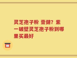 灵芝孢子粉 壹健？紫一破壁灵芝孢子粉到哪里买最好