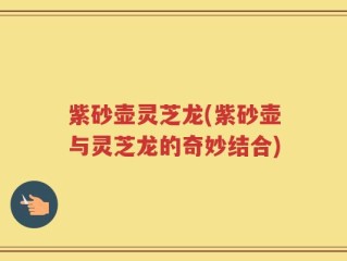 紫砂壶灵芝龙(紫砂壶与灵芝龙的奇妙结合)