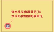 像木头又像黑灵芝(与木头形状相似的黑灵芝)