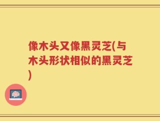 像木头又像黑灵芝(与木头形状相似的黑灵芝)