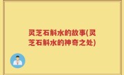 灵芝石斛水的故事(灵芝石斛水的神奇之处)