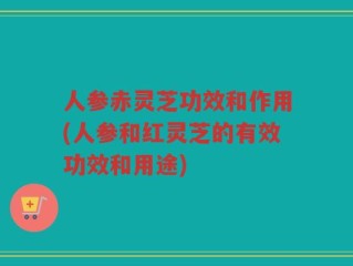 人参赤灵芝功效和作用(人参和红灵芝的有效功效和用途)