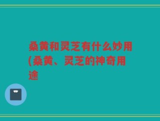 桑黄和灵芝有什么妙用(桑黄、灵芝的神奇用途
