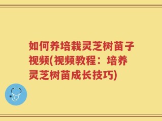 如何养培栽灵芝树苗子视频(视频教程：培养灵芝树苗成长技巧)