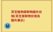 灵芝植物提取物图片价格(灵芝提取物价格及图片展示)
