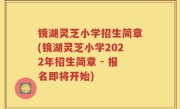 镜湖灵芝小学招生简章(镜湖灵芝小学2022年招生简章 - 报名即将开始)