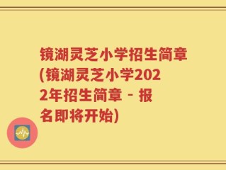 镜湖灵芝小学招生简章(镜湖灵芝小学2022年招生简章 - 报名即将开始)
