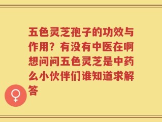 五色灵芝孢子的功效与作用？有没有中医在啊想问问五色灵芝是中药么小伙伴们谁知道求解答