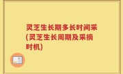 灵芝生长期多长时间采(灵芝生长周期及采摘时机)