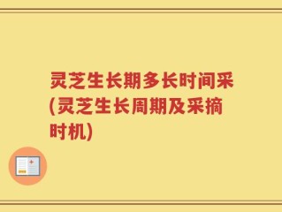 灵芝生长期多长时间采(灵芝生长周期及采摘时机)