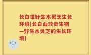 长白世野生木灵芝生长环境(长白山珍贵生物—野生木灵芝的生长环境)