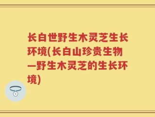 长白世野生木灵芝生长环境(长白山珍贵生物—野生木灵芝的生长环境)