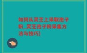 如何从灵芝上采取孢子粉_灵芝孢子粉采集方法与技巧)