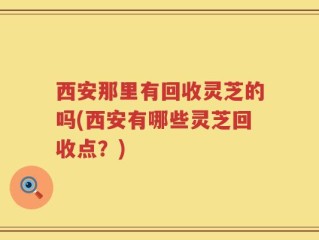 西安那里有回收灵芝的吗(西安有哪些灵芝回收点？)