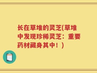长在草堆的灵芝(草堆中发现珍稀灵芝：重要药材藏身其中！)