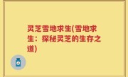 灵芝雪地求生(雪地求生：探秘灵芝的生存之道)