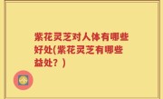紫花灵芝对人体有哪些好处(紫花灵芝有哪些益处？)