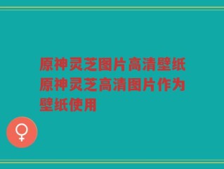 原神灵芝图片高清壁纸原神灵芝高清图片作为壁纸使用