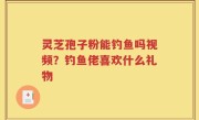 灵芝孢子粉能钓鱼吗视频？钓鱼佬喜欢什么礼物