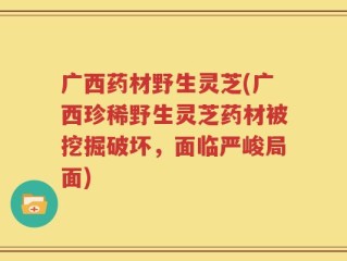 广西药材野生灵芝(广西珍稀野生灵芝药材被挖掘破坏，面临严峻局面)