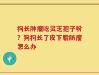 狗长肿瘤吃灵芝孢子粉？狗狗长了皮下脂肪瘤怎么办