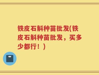 铁皮石斛种苗批发(铁皮石斛种苗批发，买多少都行！)