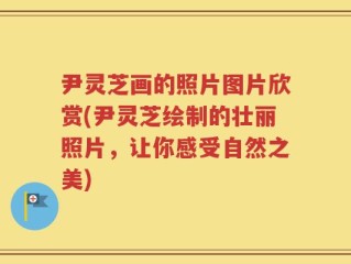 尹灵芝画的照片图片欣赏(尹灵芝绘制的壮丽照片，让你感受自然之美)