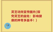 灵芝功效宣传图片(探究灵芝的益处：影响健康的神奇多面手！)