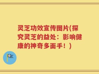 灵芝功效宣传图片(探究灵芝的益处：影响健康的神奇多面手！)