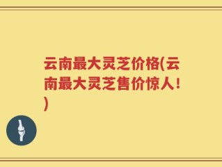 云南最大灵芝价格(云南最大灵芝售价惊人！)