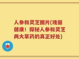 人参和灵芝图片(瑰丽健康！探秘人参和灵芝两大草药的真正好处)