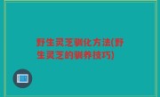 野生灵芝驯化方法(野生灵芝的驯养技巧)