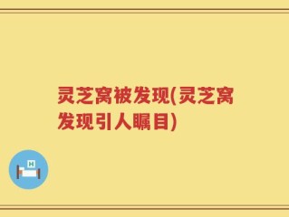 灵芝窝被发现(灵芝窝发现引人瞩目)