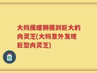 大妈摸螺狮摸到巨大的肉灵芝(大妈意外发现巨型肉灵芝)