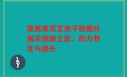 康美来灵芝孢子粉图片展示健康之选，助力养生与提升