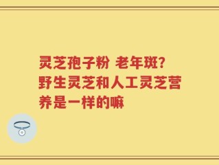 灵芝孢子粉 老年斑？野生灵芝和人工灵芝营养是一样的嘛