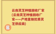 云南灵芝种植回收厂家(云南灵芝种植回收厂家——产地直销优质灵芝供应商)