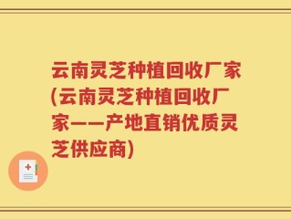 云南灵芝种植回收厂家(云南灵芝种植回收厂家——产地直销优质灵芝供应商)