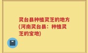 灵台县种植灵芝的地方(河南灵台县：种植灵芝的宝地)