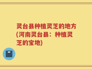 灵台县种植灵芝的地方(河南灵台县：种植灵芝的宝地)